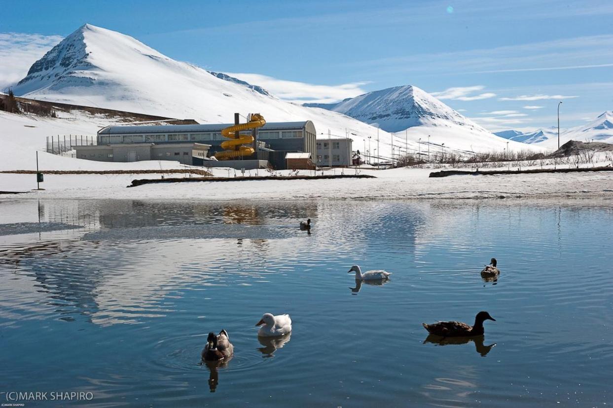 The Northern Comfort Inn Olafsfjordur Esterno foto